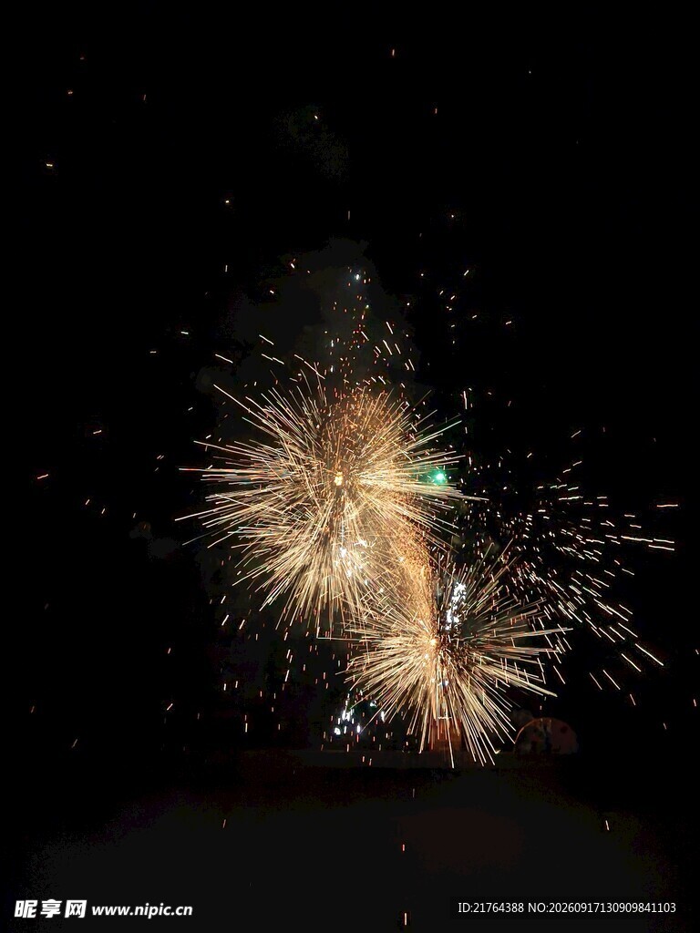夜空中绚烂的烟花绽放