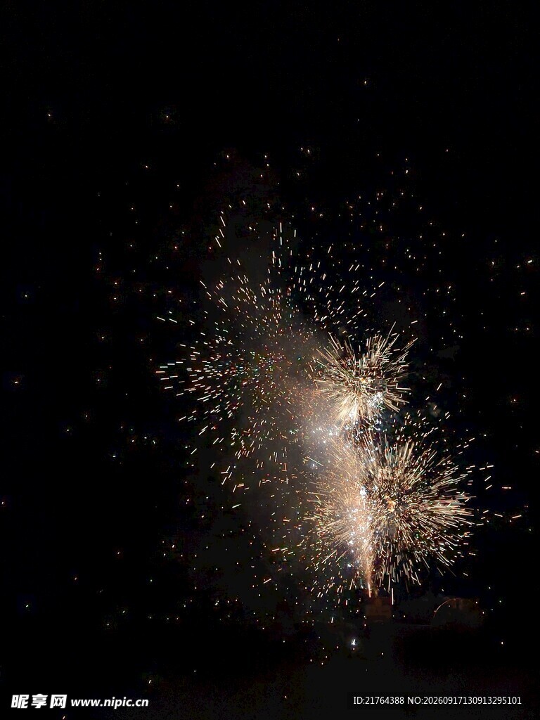 夜空中绚烂的烟花绽放