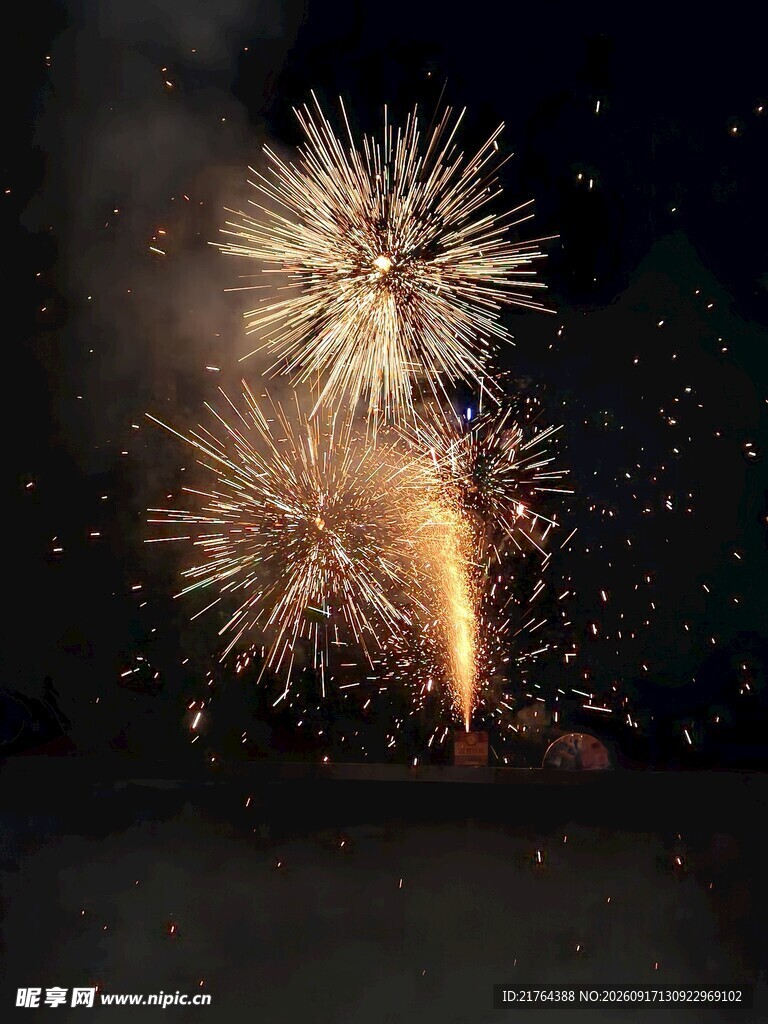 夜空中绚烂绽放的烟花
