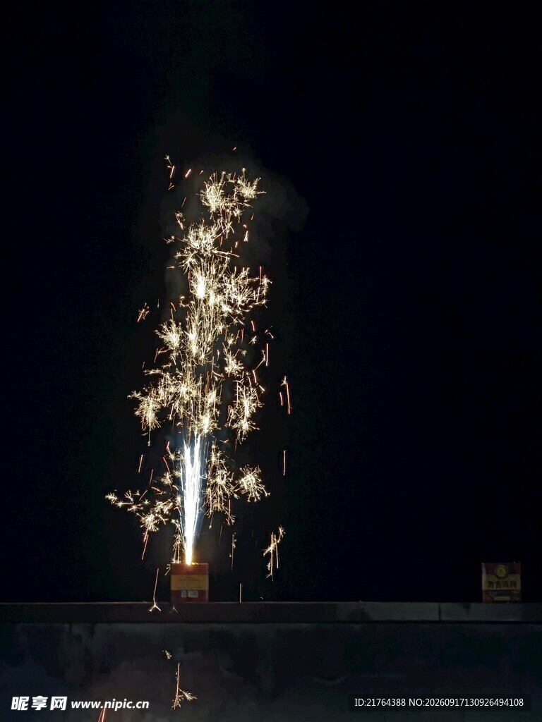 夜空中绚烂的烟花绽放