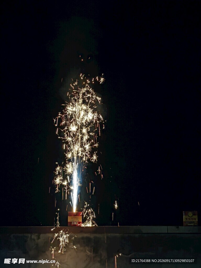 夜空中绽放的绚丽烟花