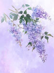 梦幻紫丁香花枝