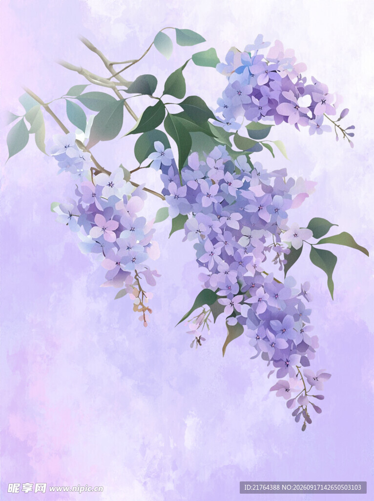 梦幻紫丁香花枝