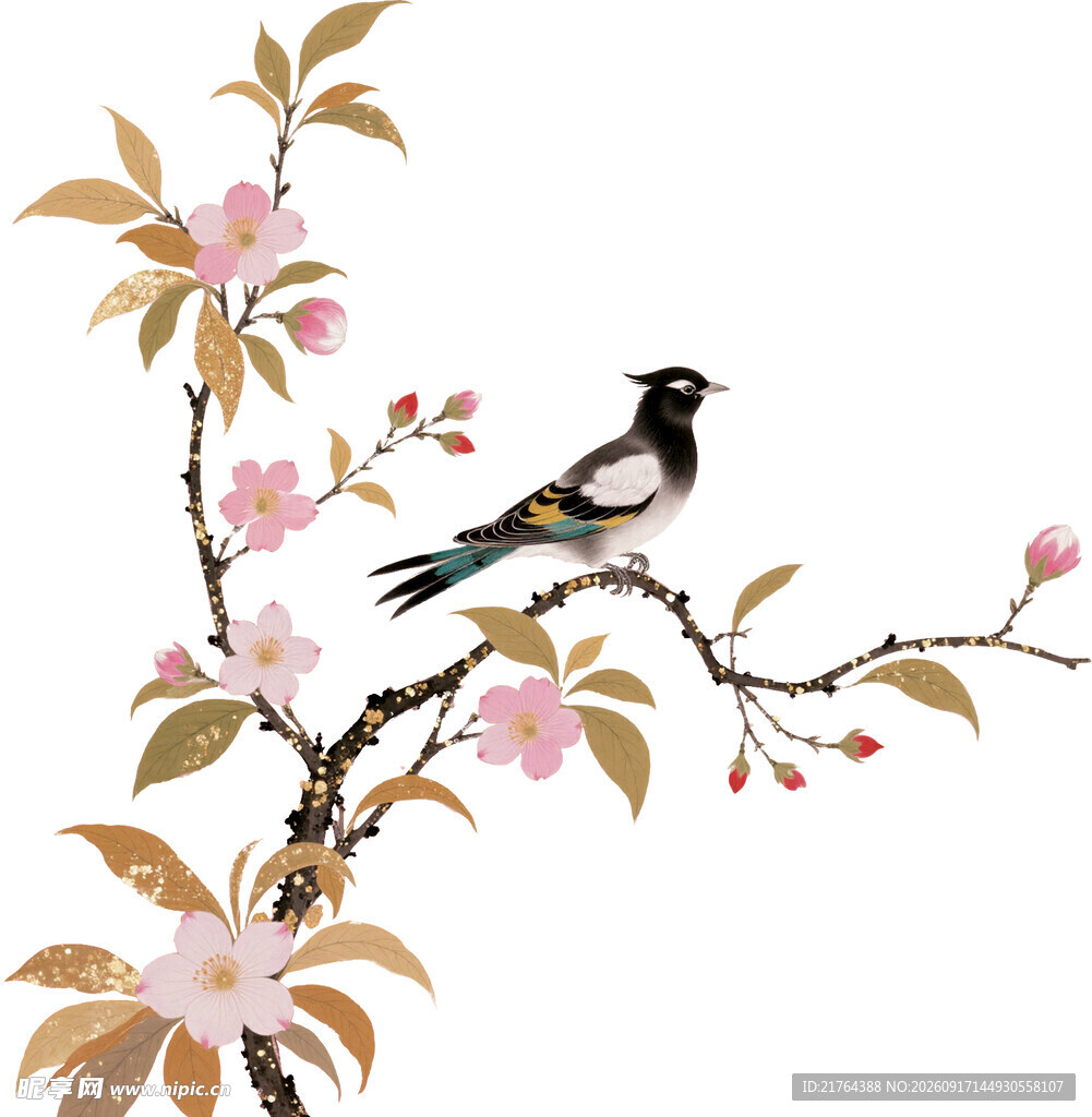 枝头鹊立 春花相伴