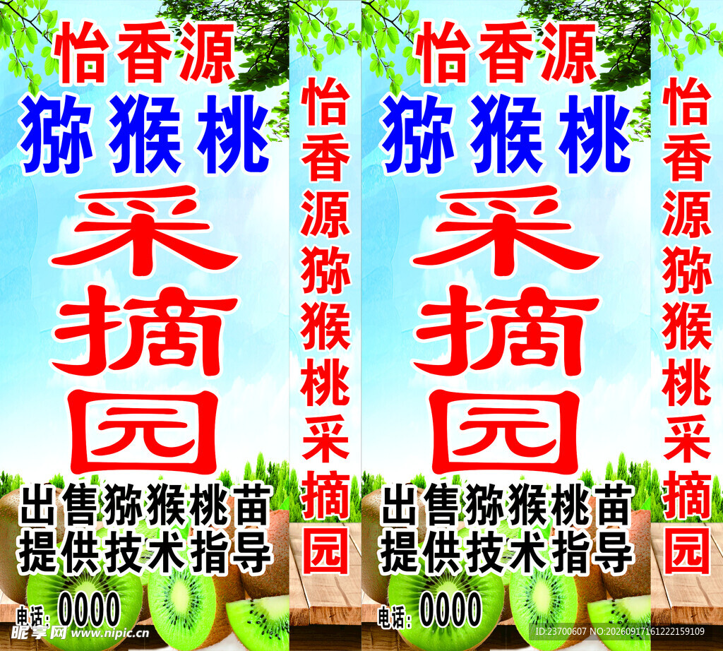 猕猴桃采摘园