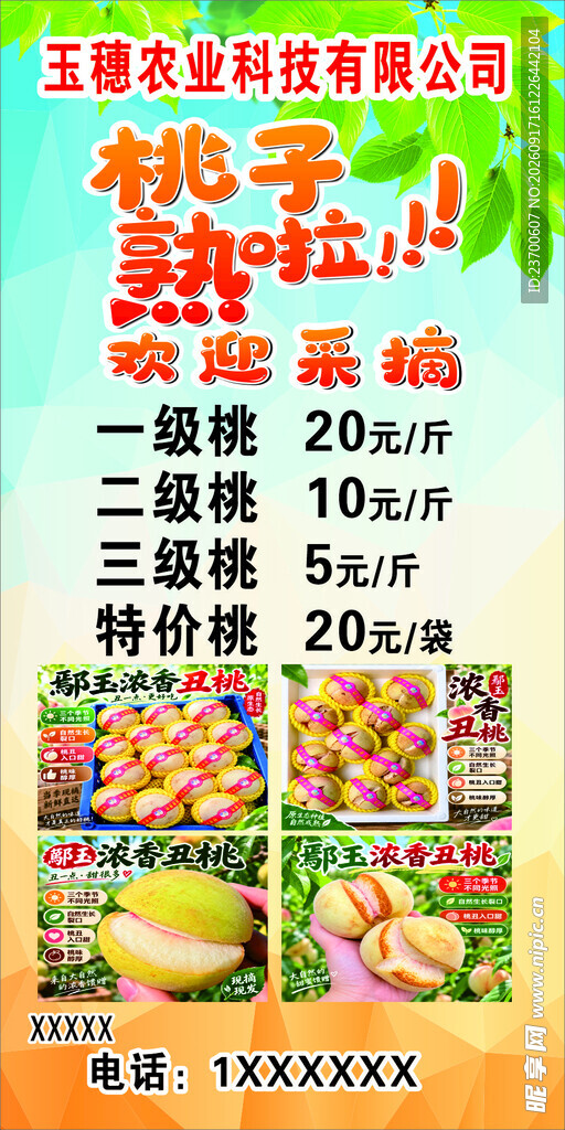 桃子熟了