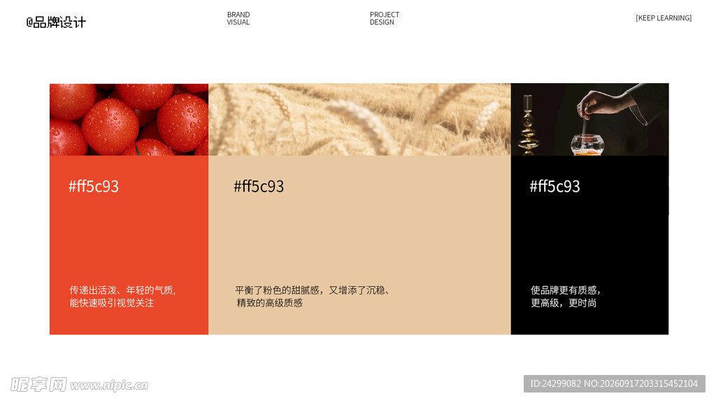 网页设计展示
