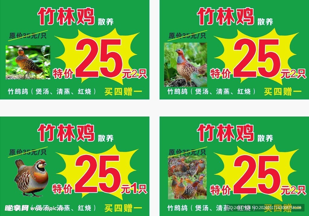 竹林鸡散养
