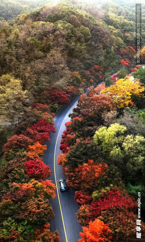 秋日山林间蜿蜒的绚丽公路