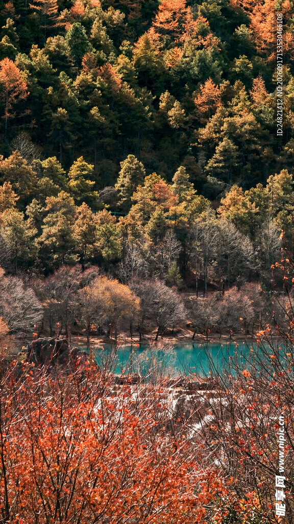 秋日山林中的多彩湖景
