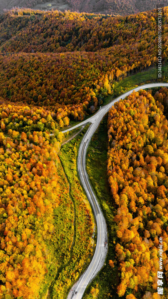 秋日蜿蜒公路的绚丽景致