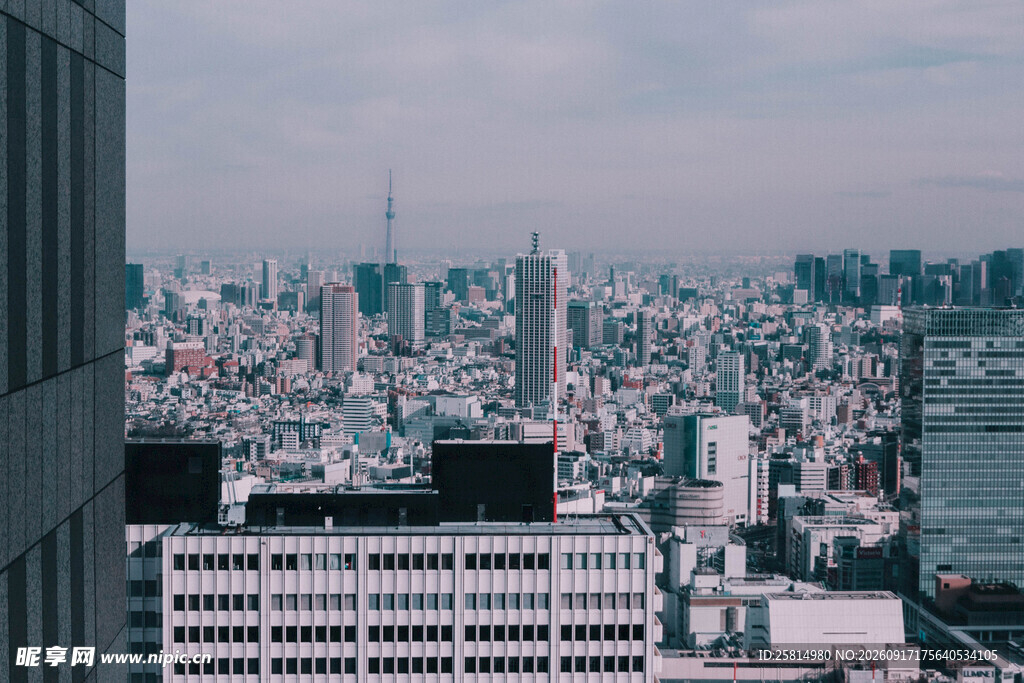 俯瞰繁华都市景观