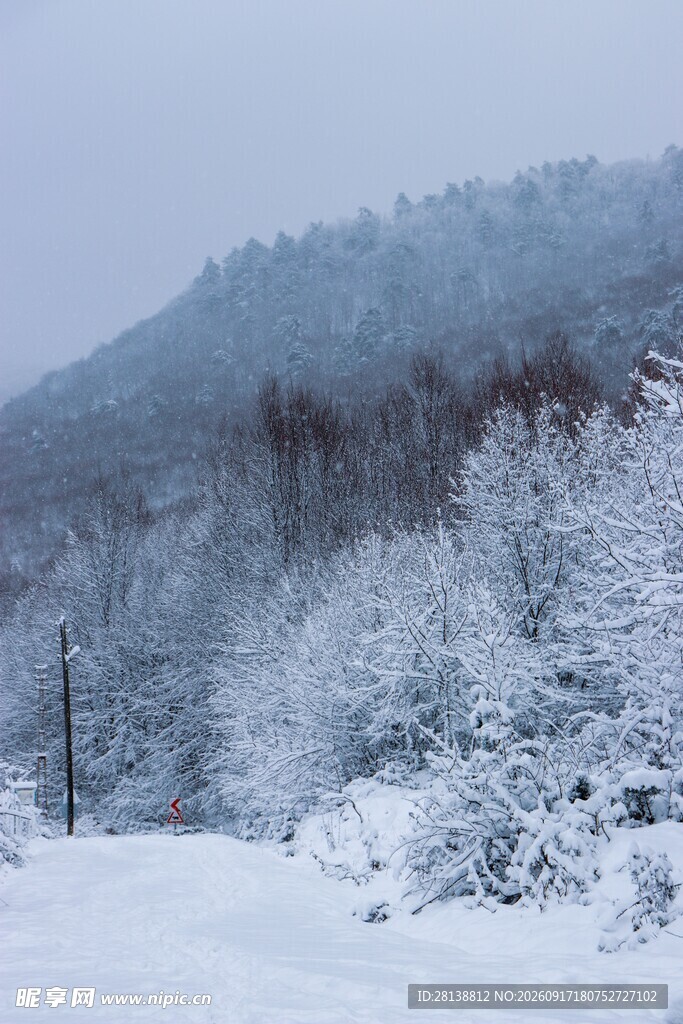 冬日雪景中的银白山林