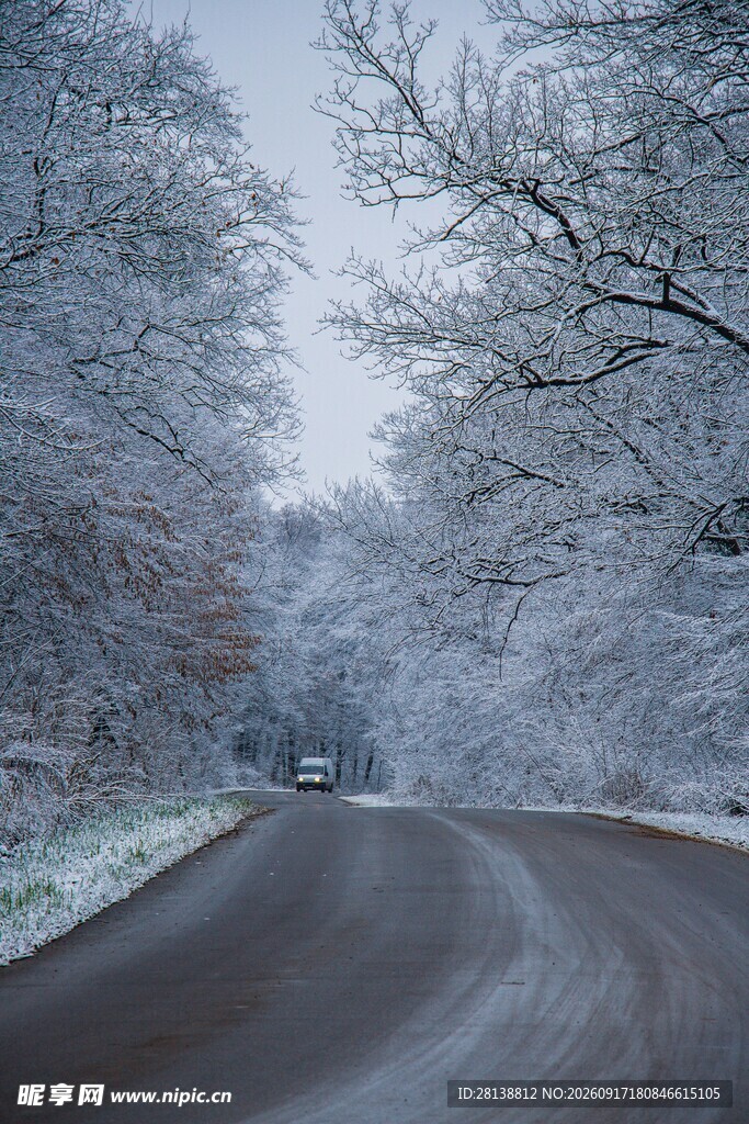 雪覆林间路