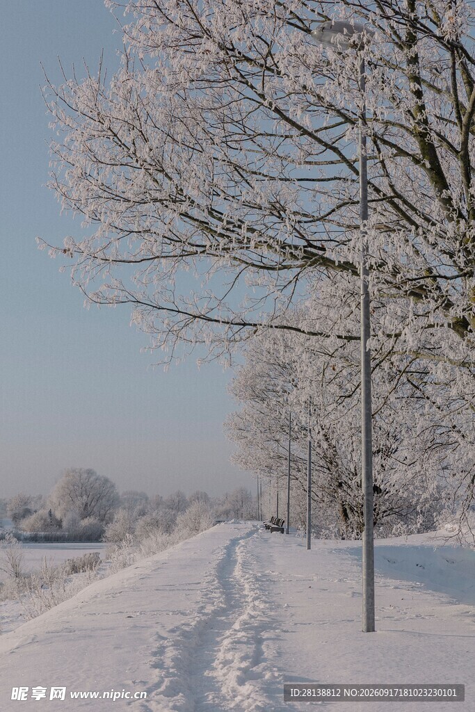冬日雪覆小路树木银装素裹