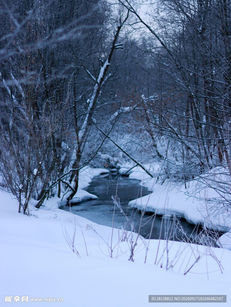 冬日雪覆溪流静谧景象