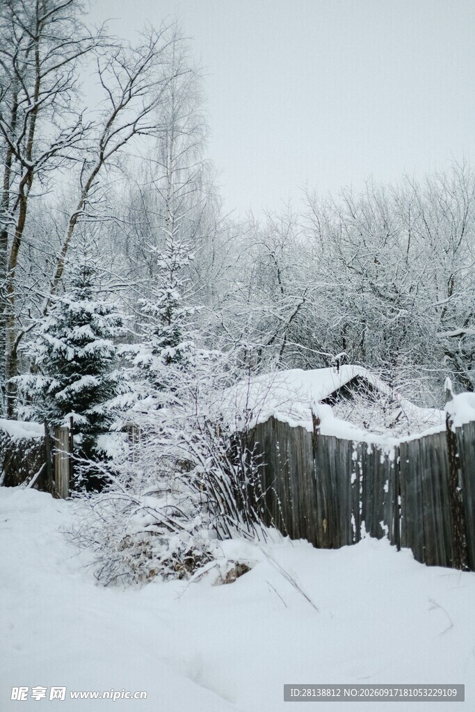冬日雪景中的静谧小院
