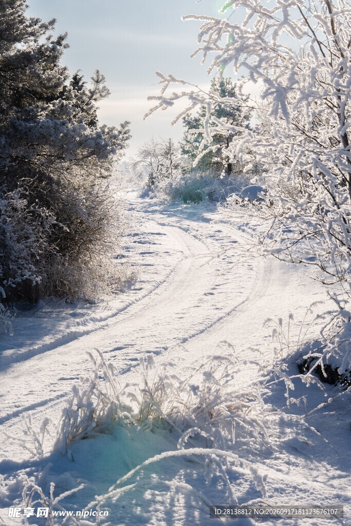冬日雪景中的林间小道