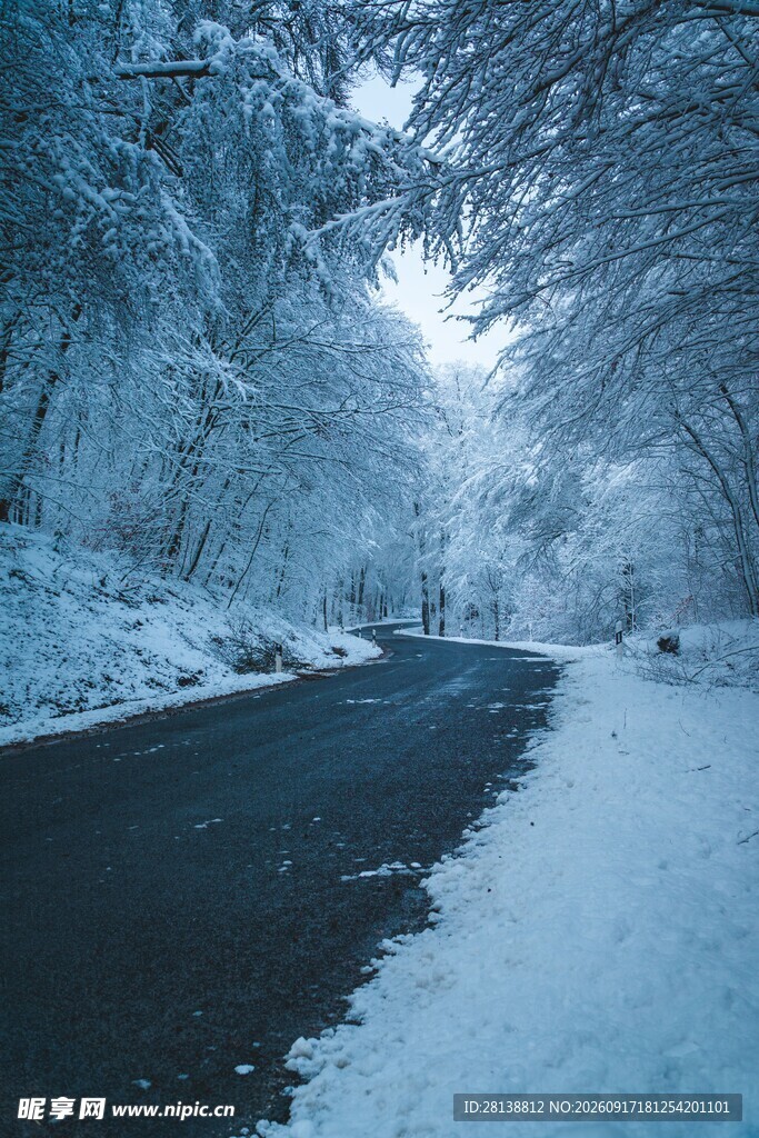 冬日雪覆林间路