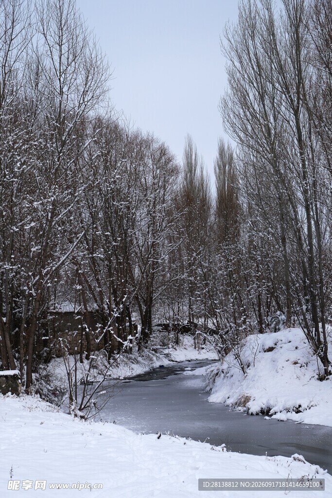 冬日雪覆河流树林美景