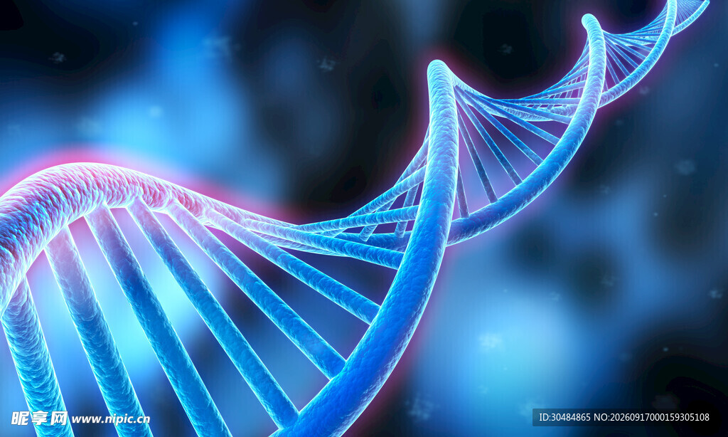 双螺旋DNA分子结构特写