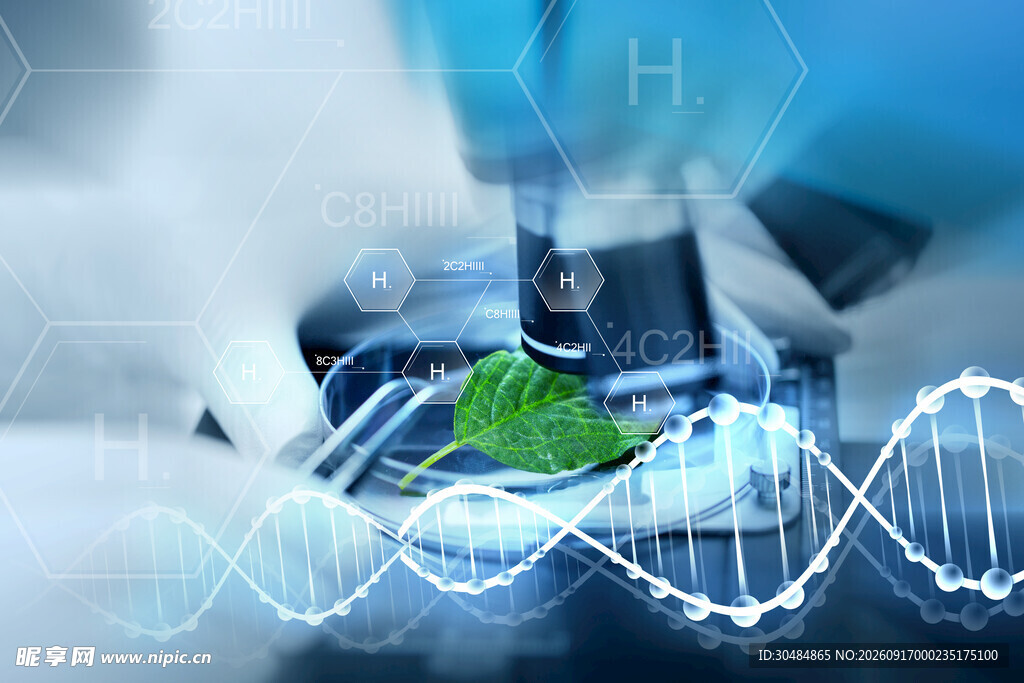 基因技术下的叶片研究