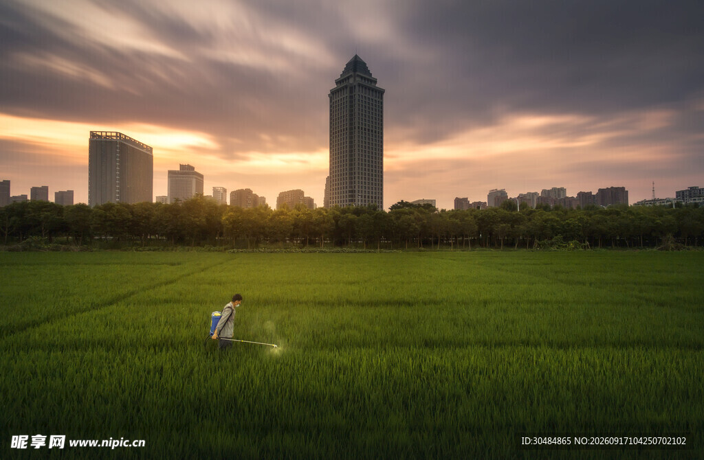 城市绿地中的黄昏美景