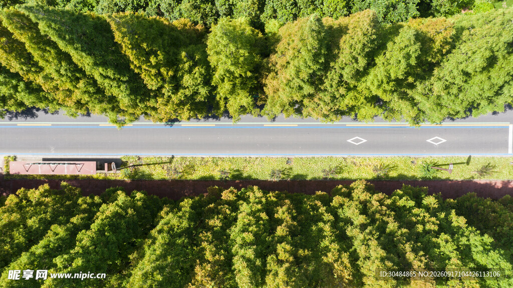 林间公路