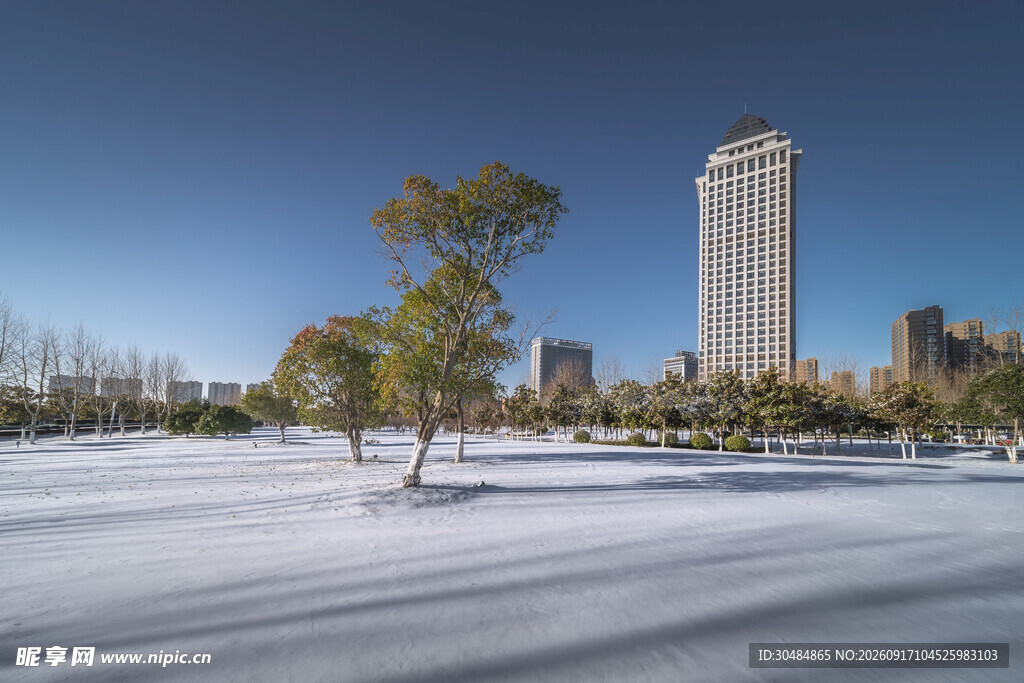雪后城市景观中的树木与高楼