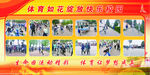 学校体育活动展示