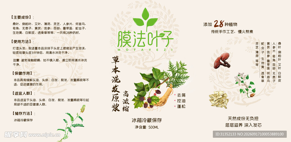 揭秘薄荷叶特性与用途