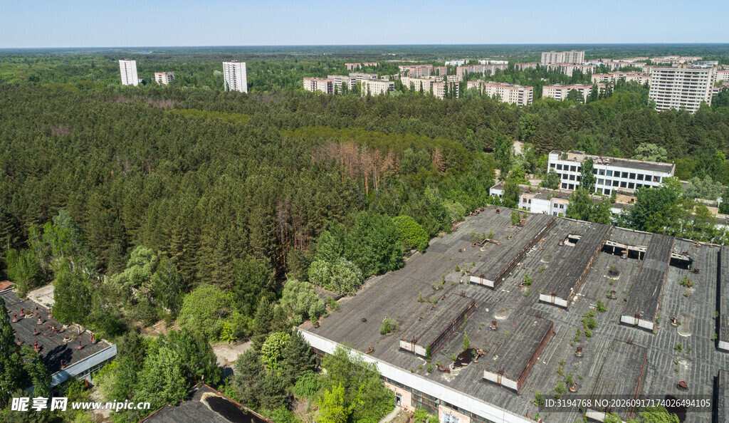 城市边缘的森林与建筑景观