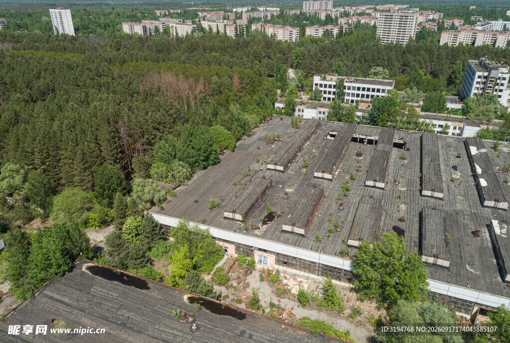 城市中被树林环绕的建筑群
