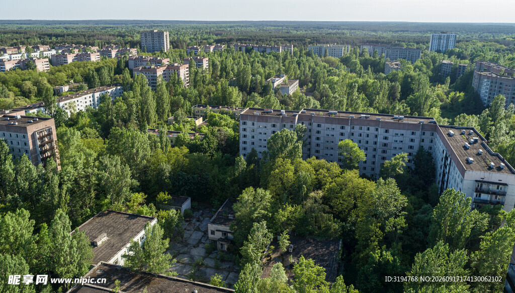 绿树环绕的城市建筑群