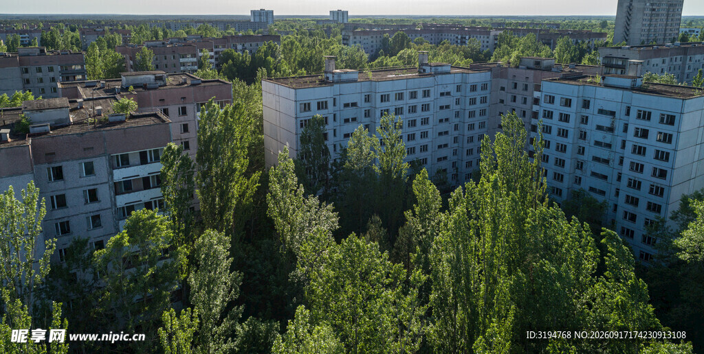 绿树环绕的城市建筑群