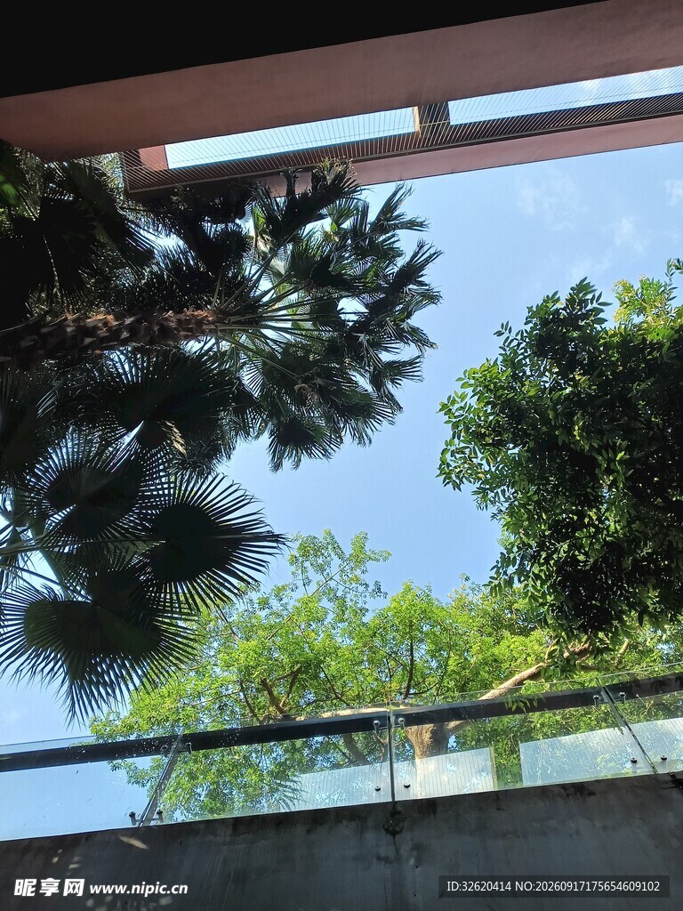 透过建筑看葱郁树木