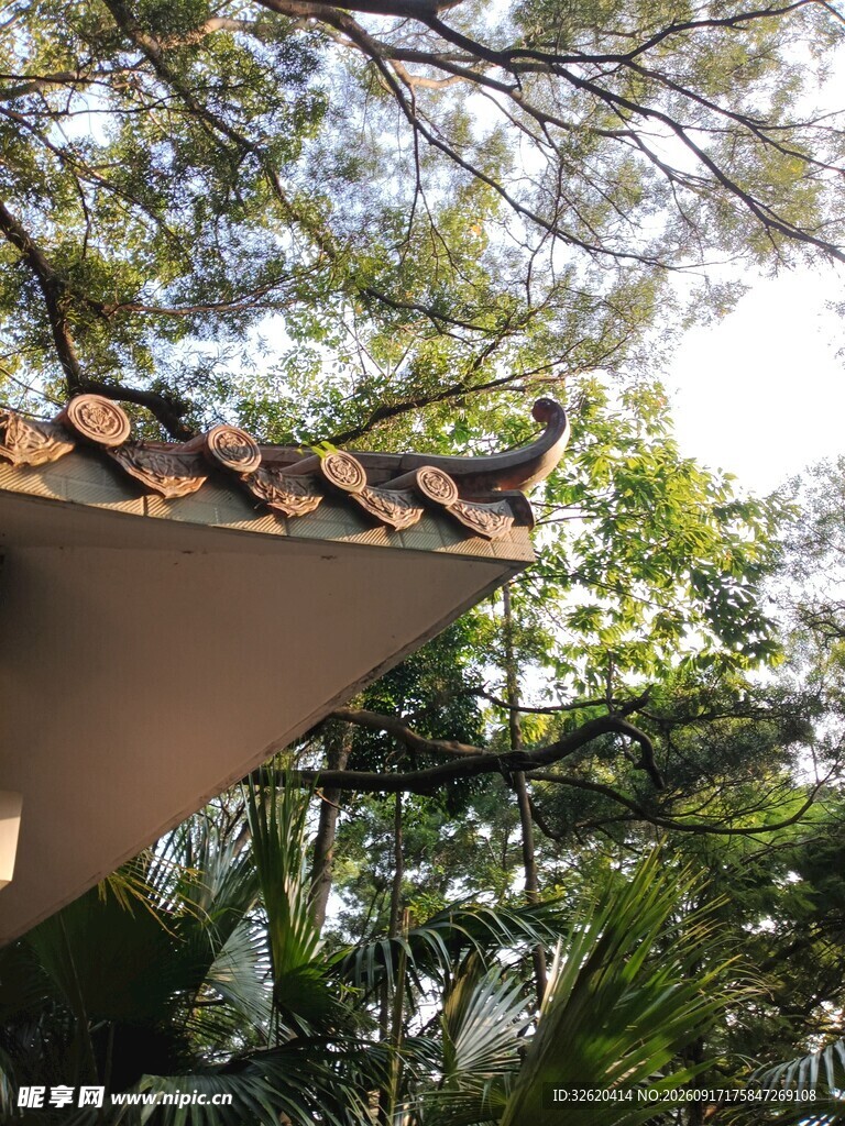 屋檐下的绿意景致