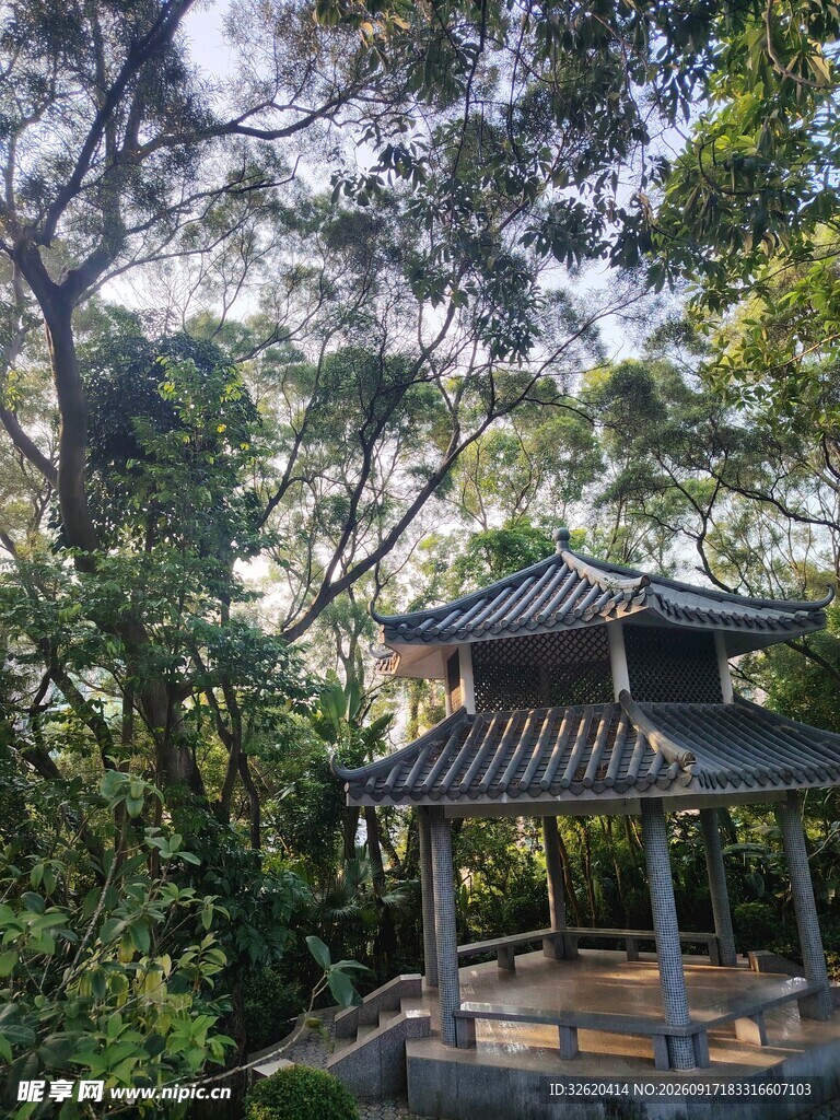 林间古亭