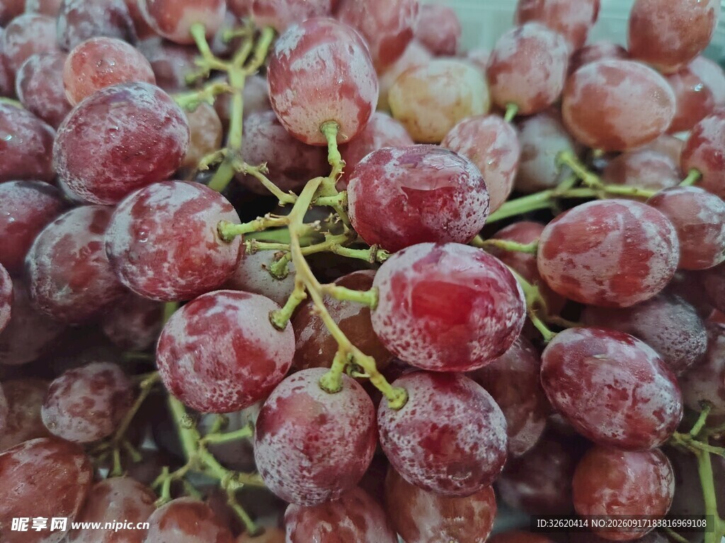 新鲜红葡萄