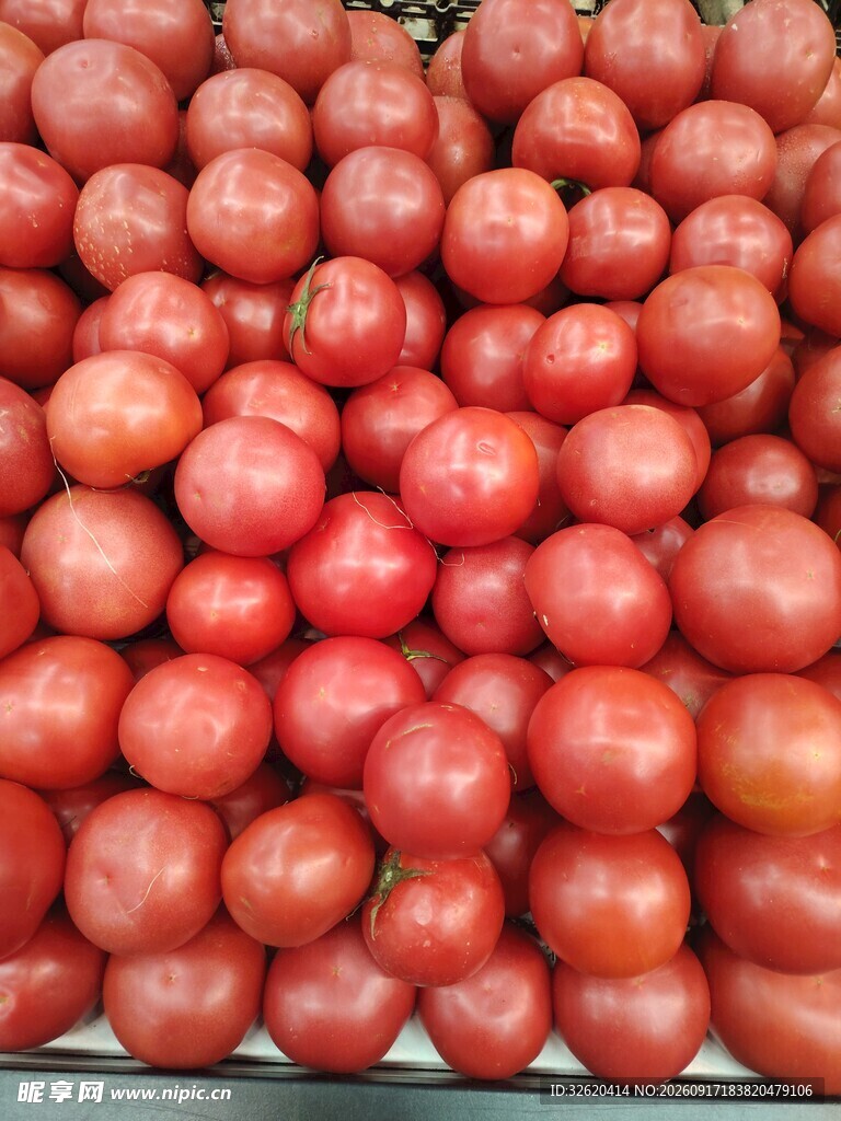 番茄