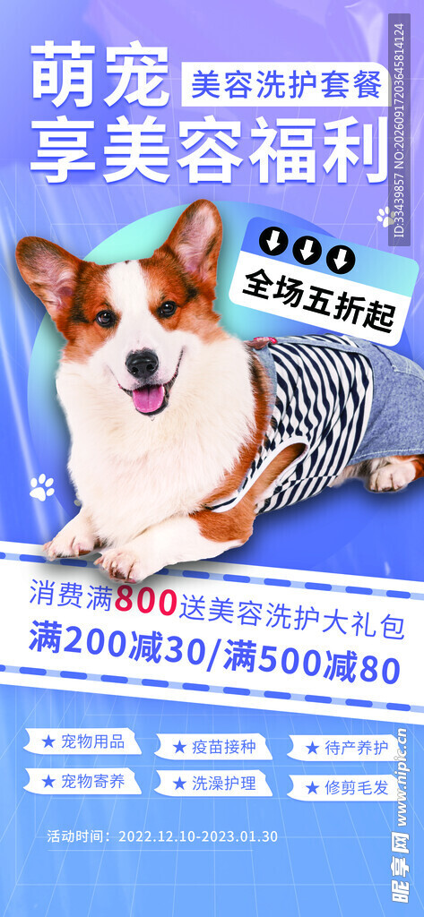 宠物美容海报 