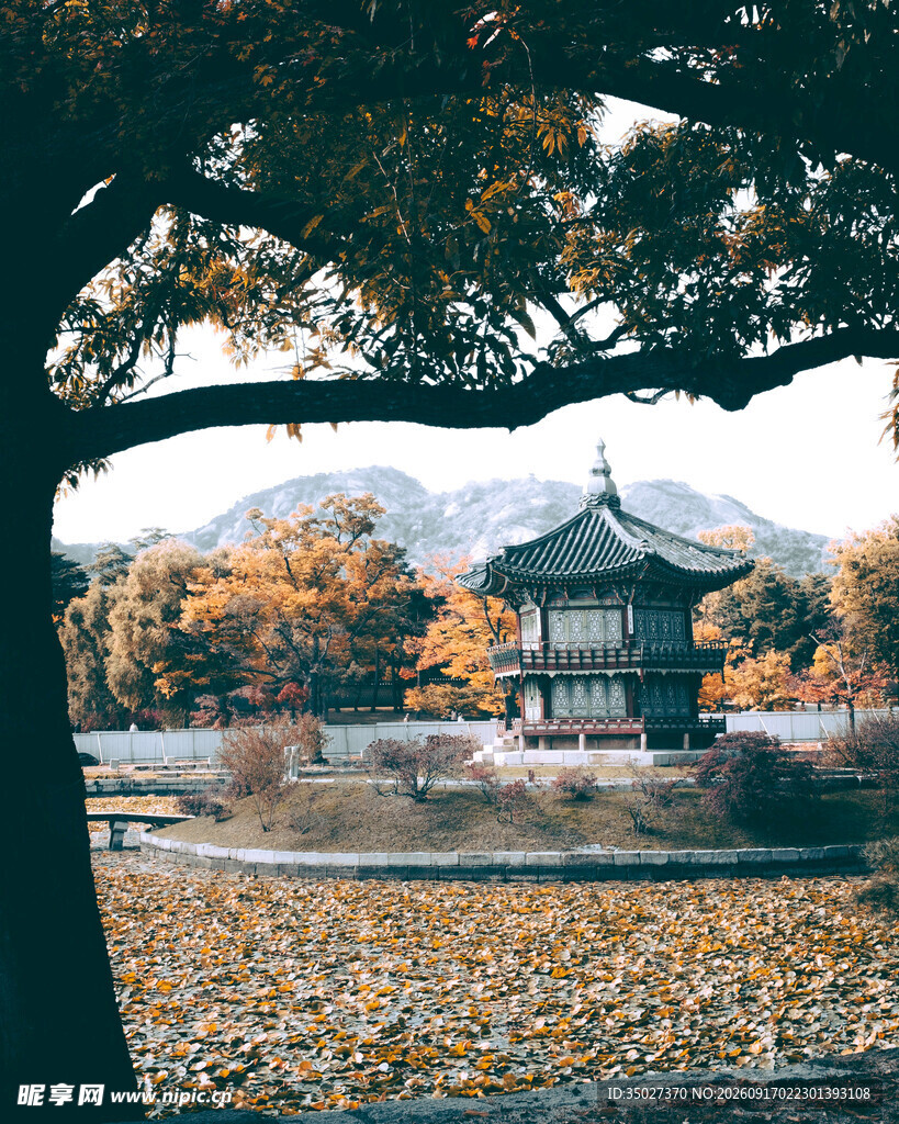 秋日古亭落叶铺就诗意景