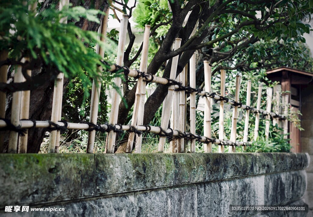 日式古朴竹篱与绿植景致