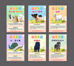 萌宠  介绍 卡通 宠物 展板