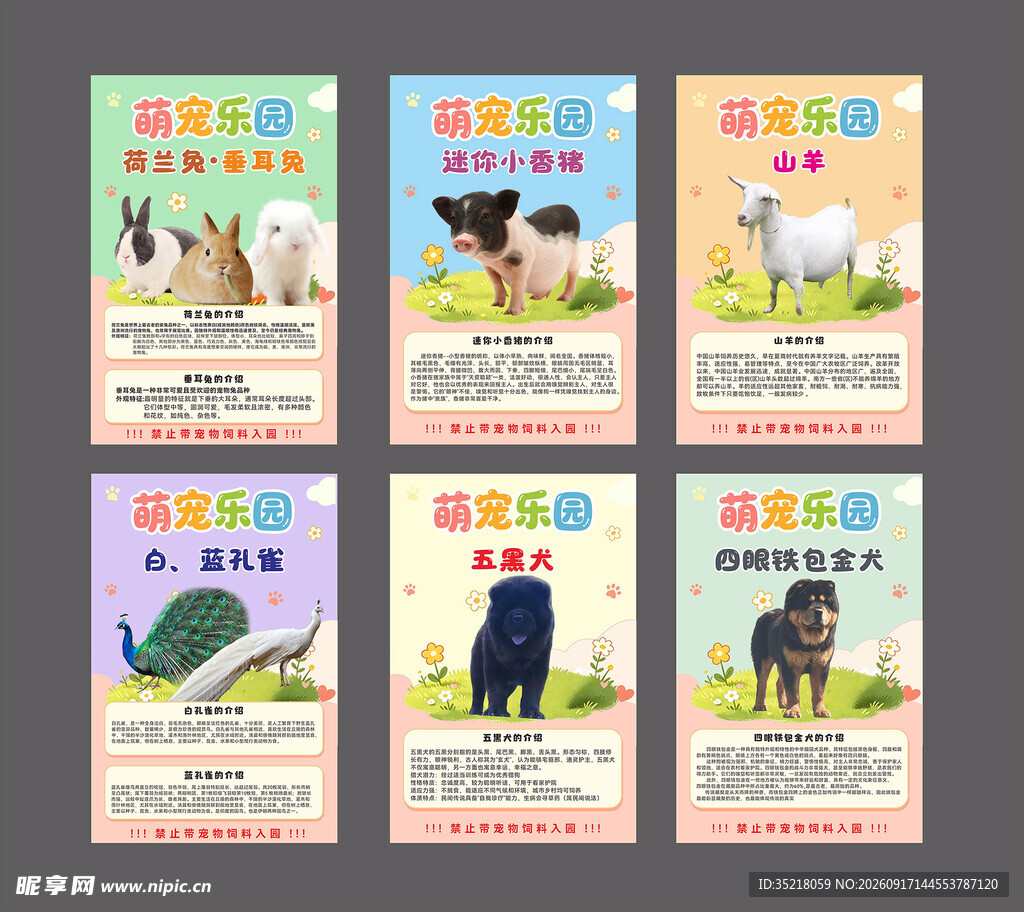 萌宠  介绍 卡通 宠物 展板