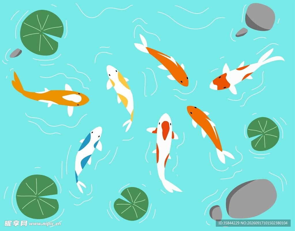 锦鲤戏水插画