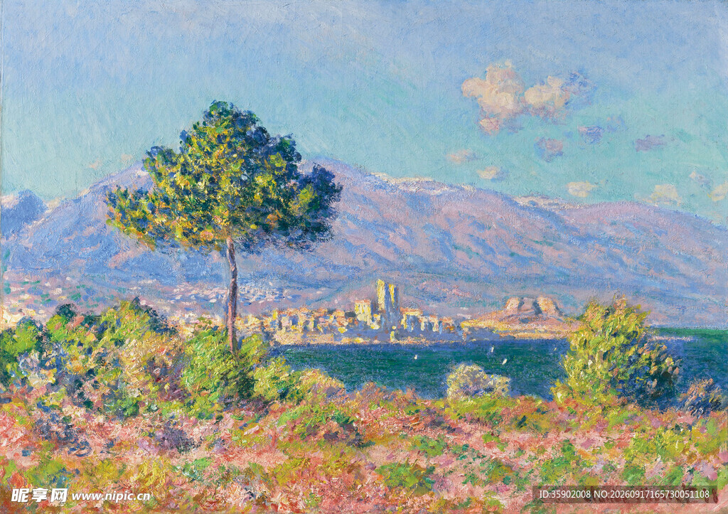 田园风光中的孤树与花海