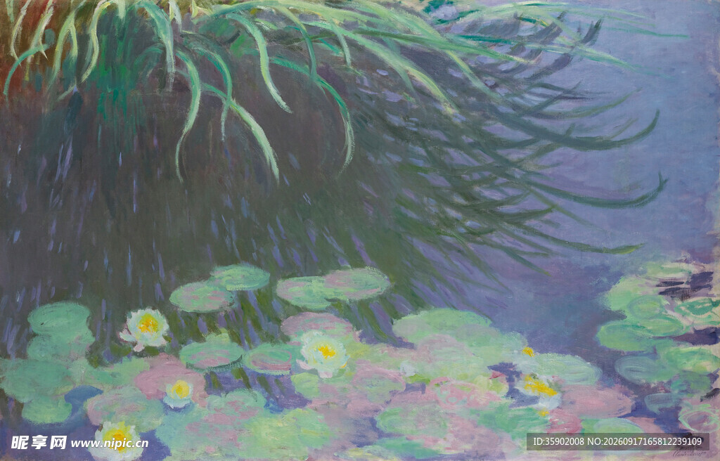 池塘睡莲水草梦幻景象