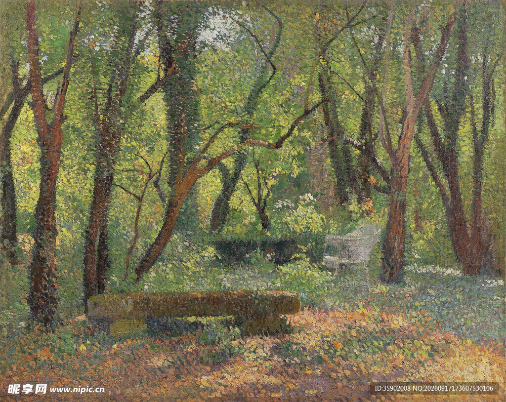 秋日静谧树林景观