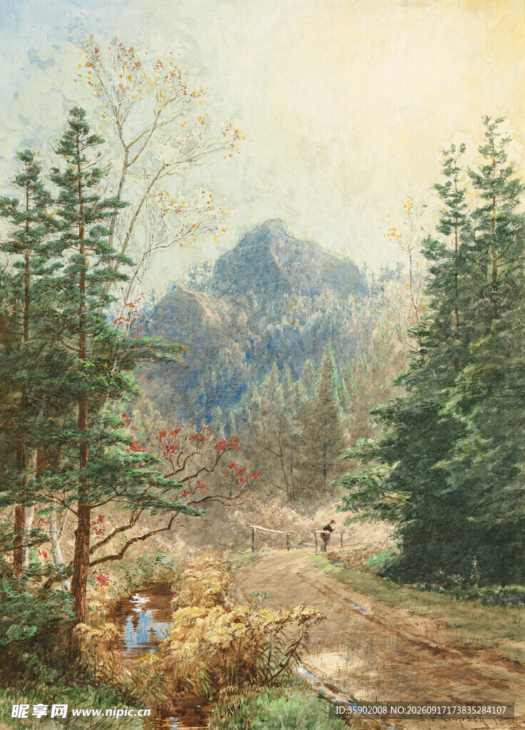 林间小道上的静谧风景